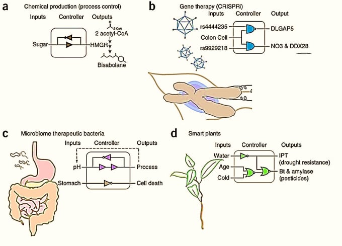 What is Gene Circuit Engineering? | Futurism