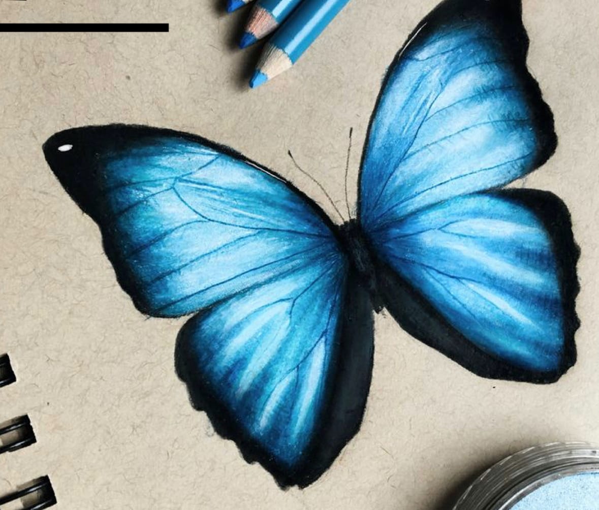 Blue Morpho Butterfly Tattoo In Watercolor Art With  Blue And White Butterfly  Tattoo  Free Transparent PNG Download  PNGkey