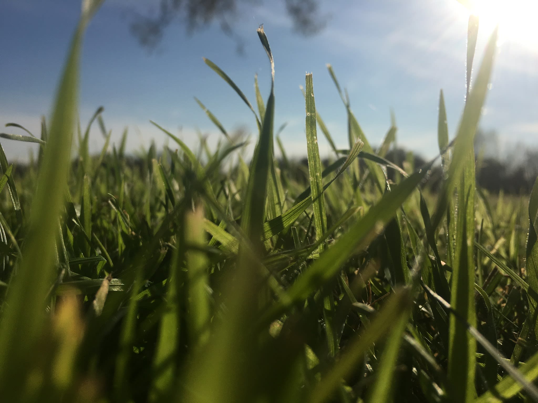 Say Goodbye... | Families