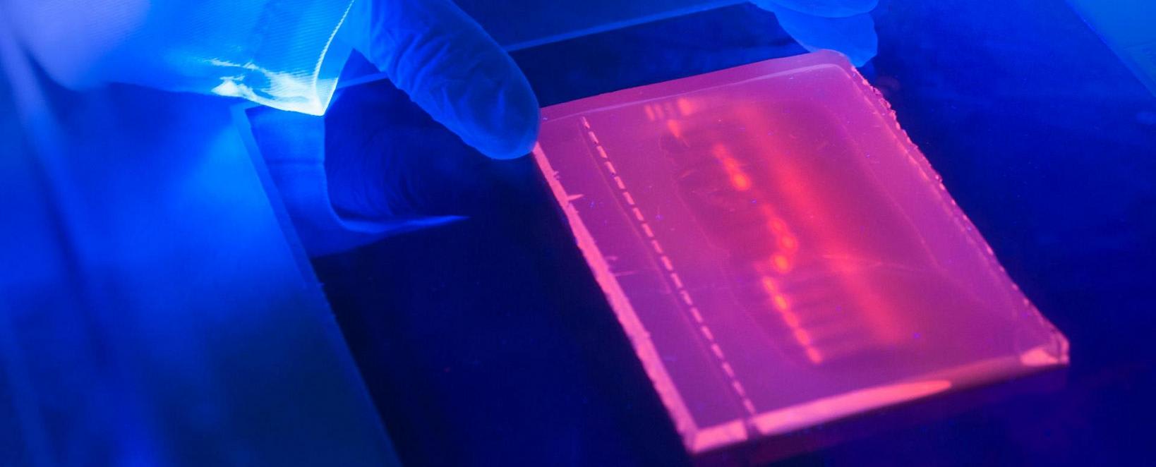 The Usefulness of NanoDrop in Testing Nucleic Acid in DNA, RNA, and