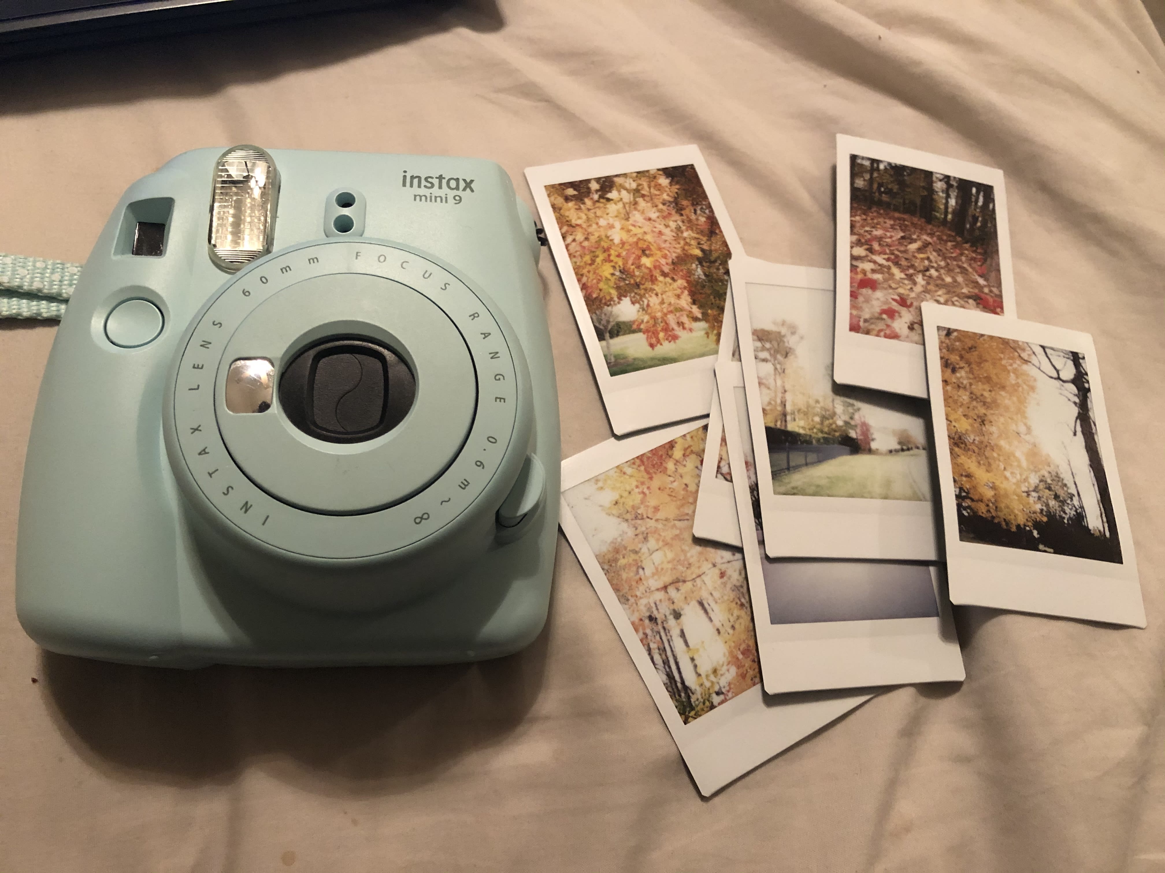 Five Things To Know For Polaroid Photography Photography