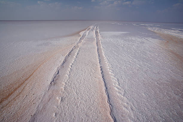 Rann Of Kutch Documentary, MITTHU, Kutch Gujarat, White Salt Desert