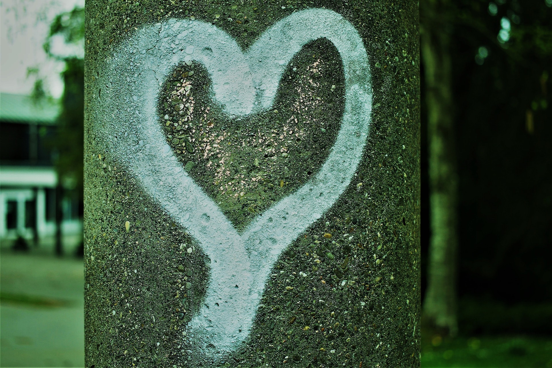 The Calling Card Families