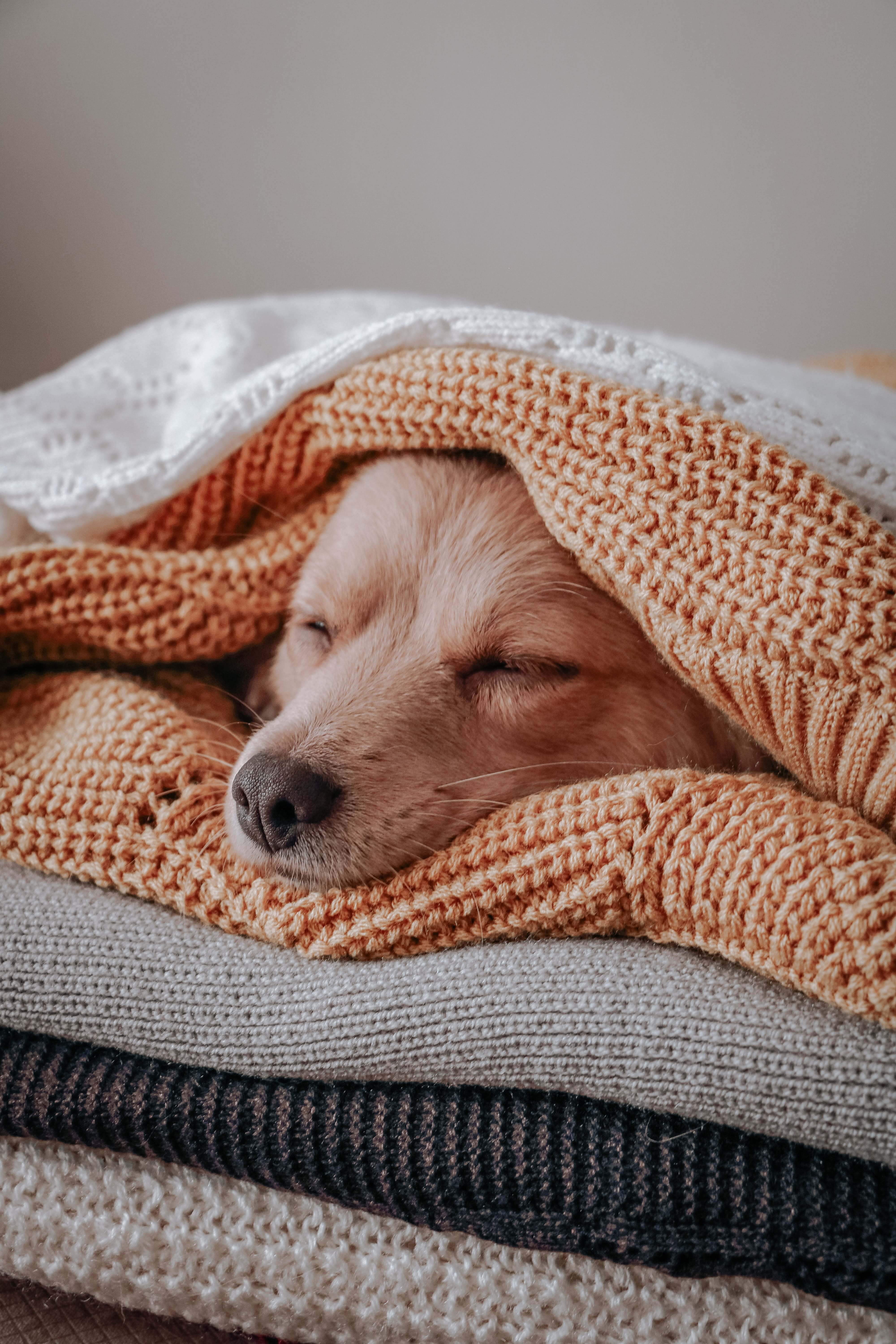 Weighted Blankets: Good, Bad or Eh? | Humans