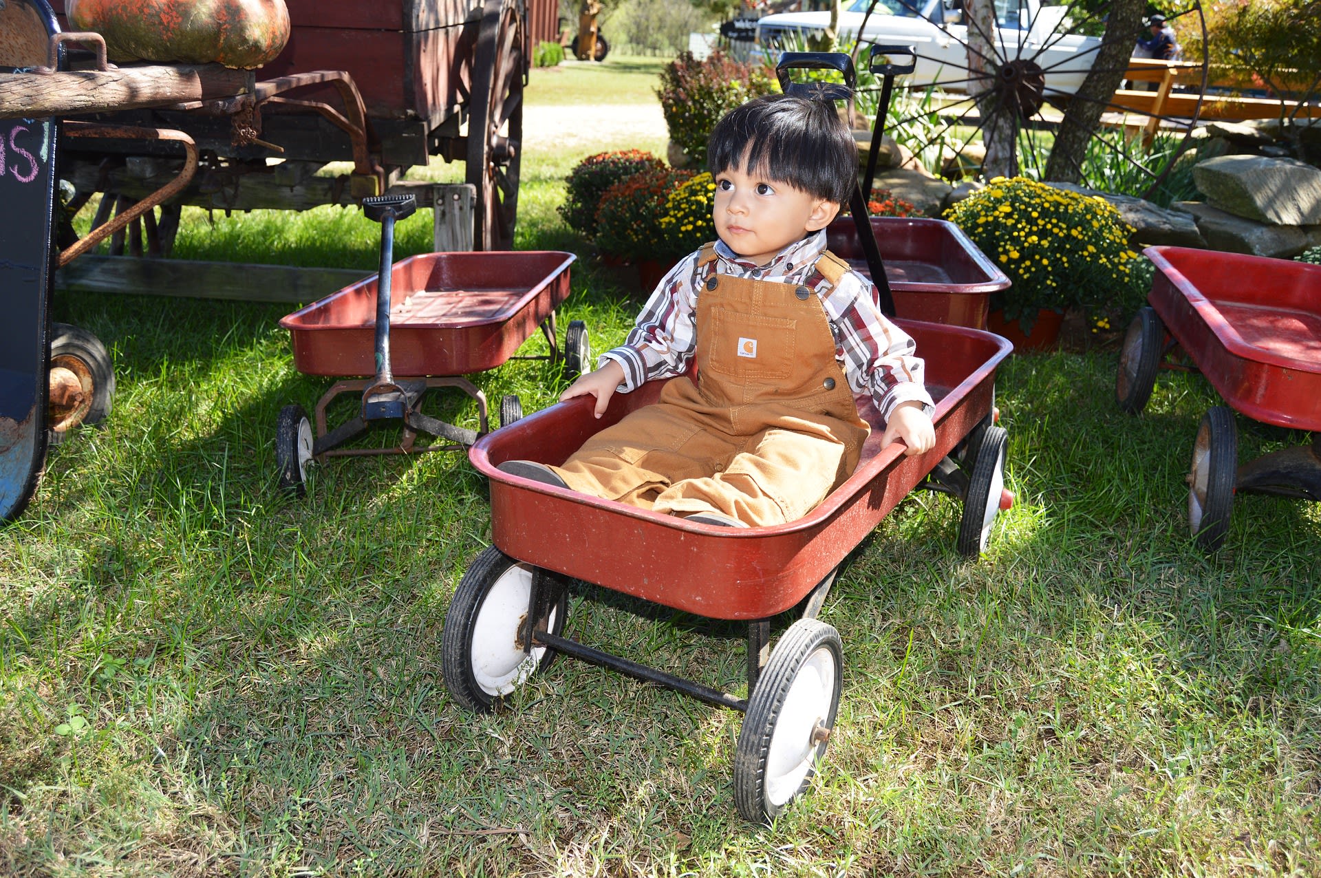Tips to use your folding wagon in best way possible Families