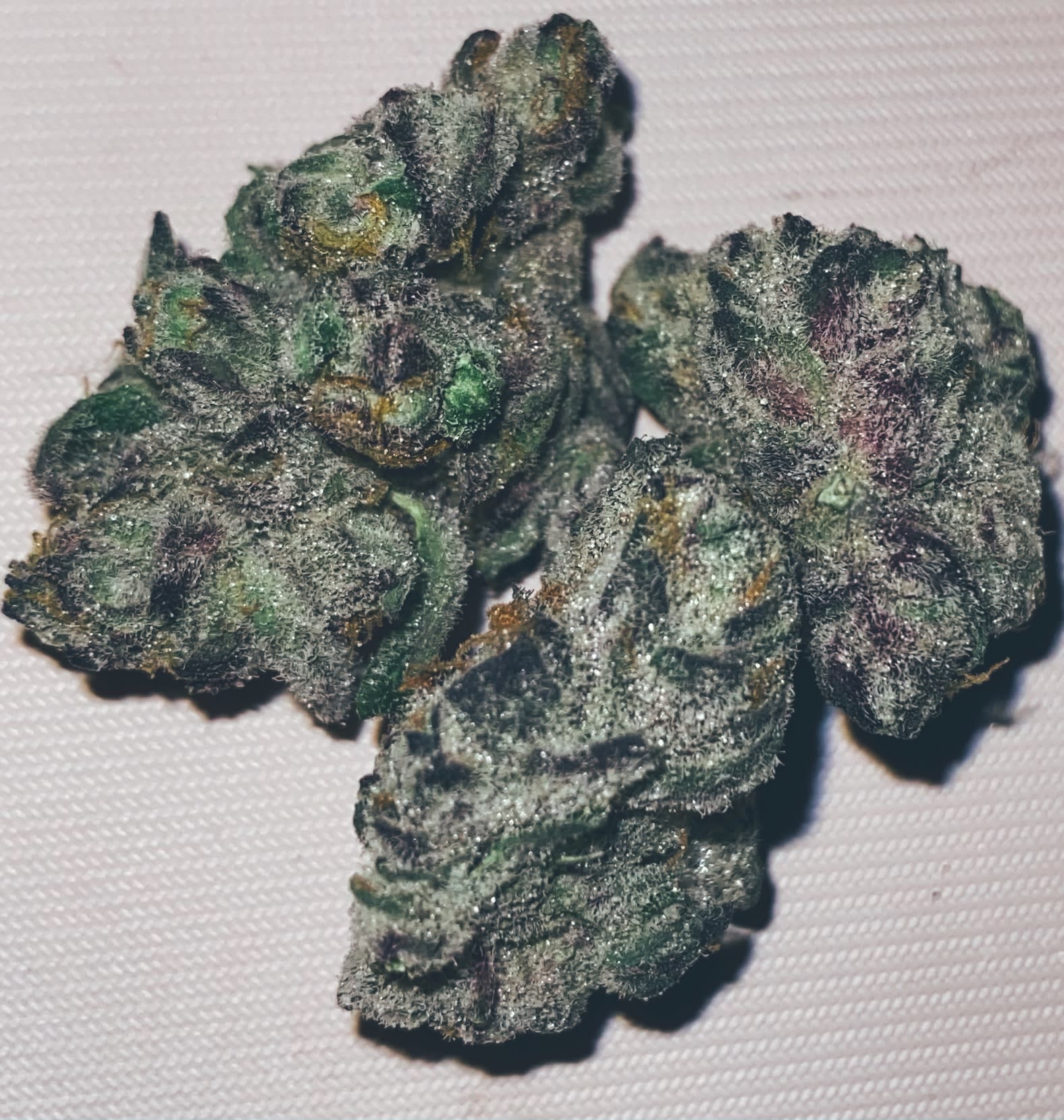 Ursa Major Strain Review Potent