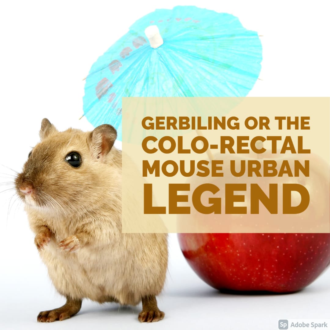 Gerbiling or the Colo-rectal Mouse Urban Legend | Filthy