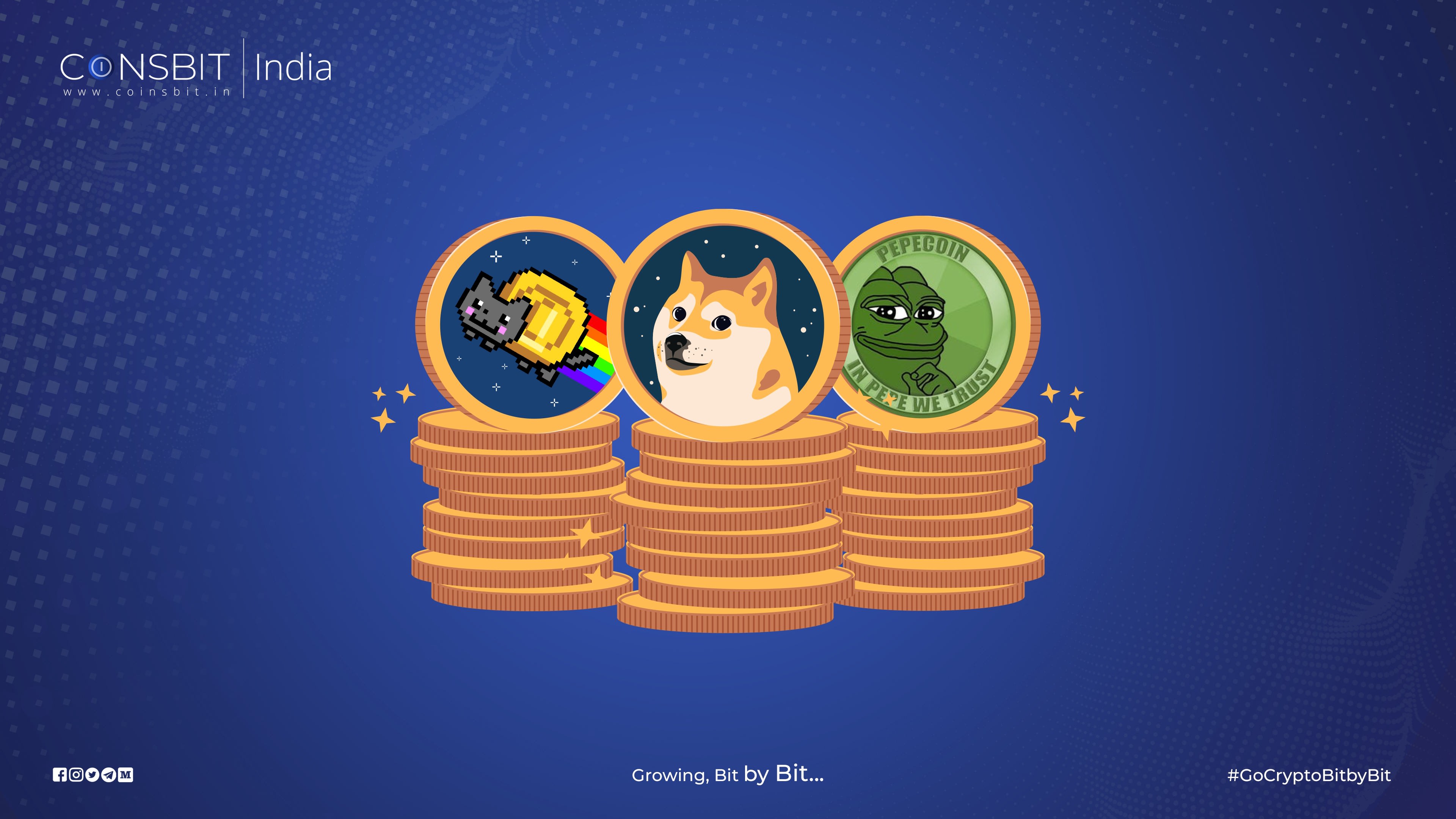 The Rise of the Meme Coins The Chain