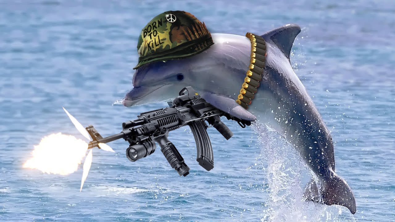 The U.S Navy created Military Dolphins Humans