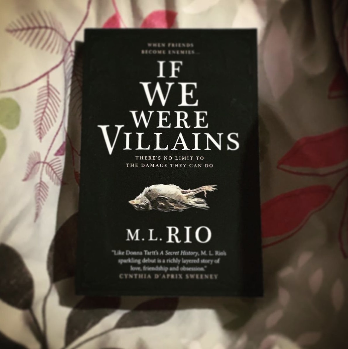 Book Review: If We Were Villains by M.L Rio