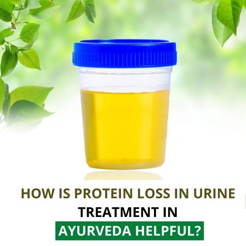 How is Protein Loss in Urine Treatment in Ayurveda Helpful? Lifehack