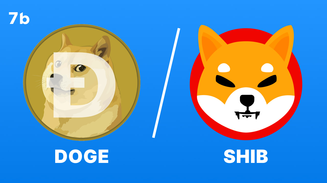 Shiba Inu vs. Dogecoin. Who is the Lead Dog of the Pack? | The Chain