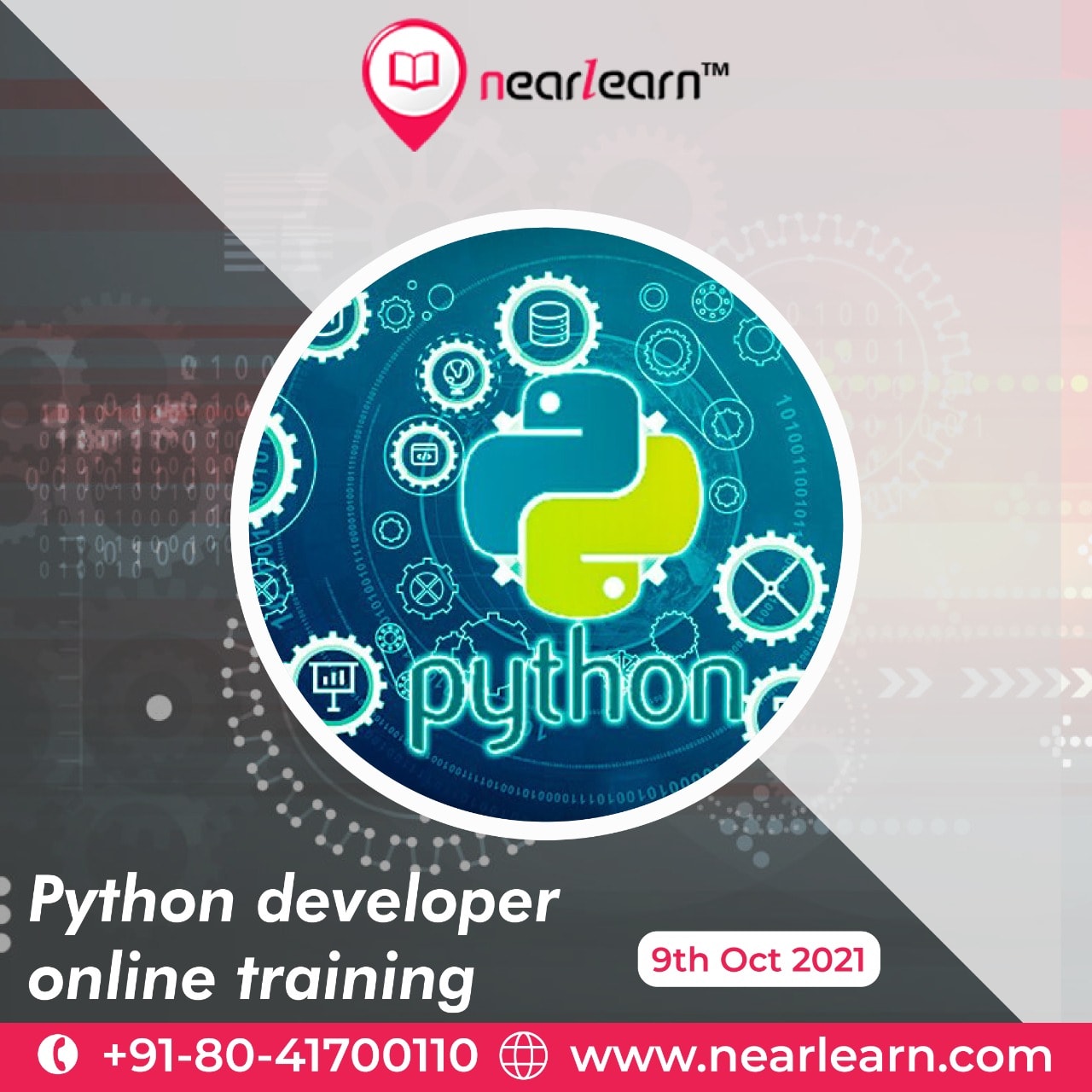 Advantages and disadvantages of the Python Language | Education