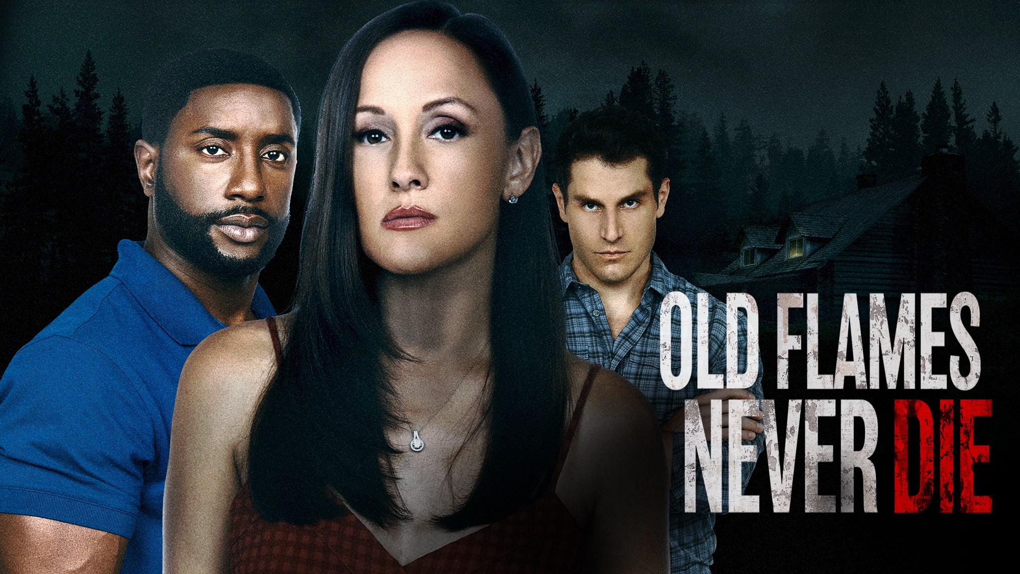 Lifetime Review 'Old Flames Never Die' Geeks