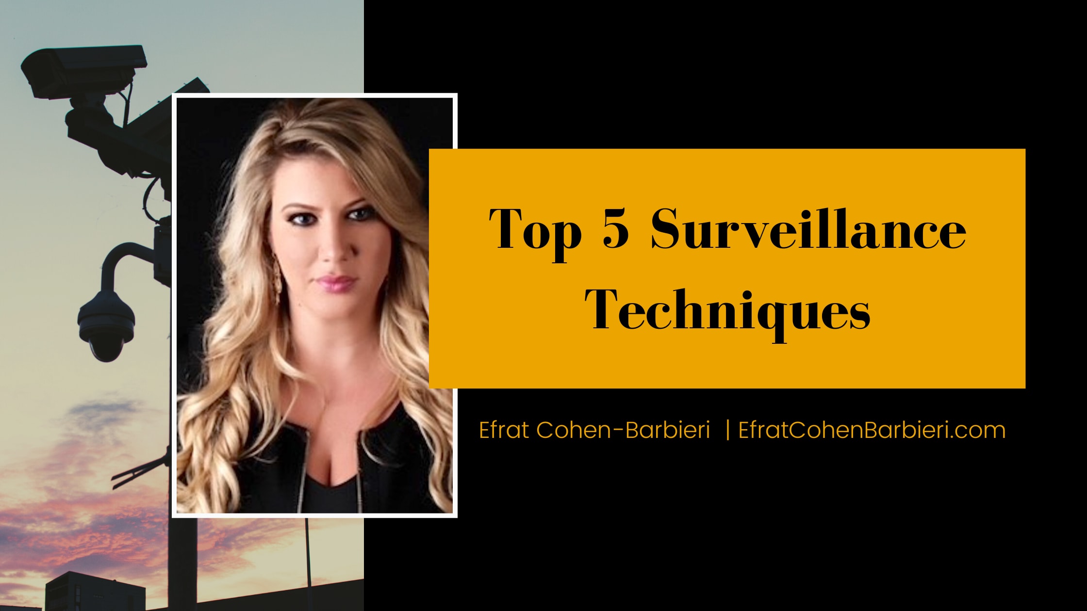 Top 5 Surveillance Techniques Criminal
