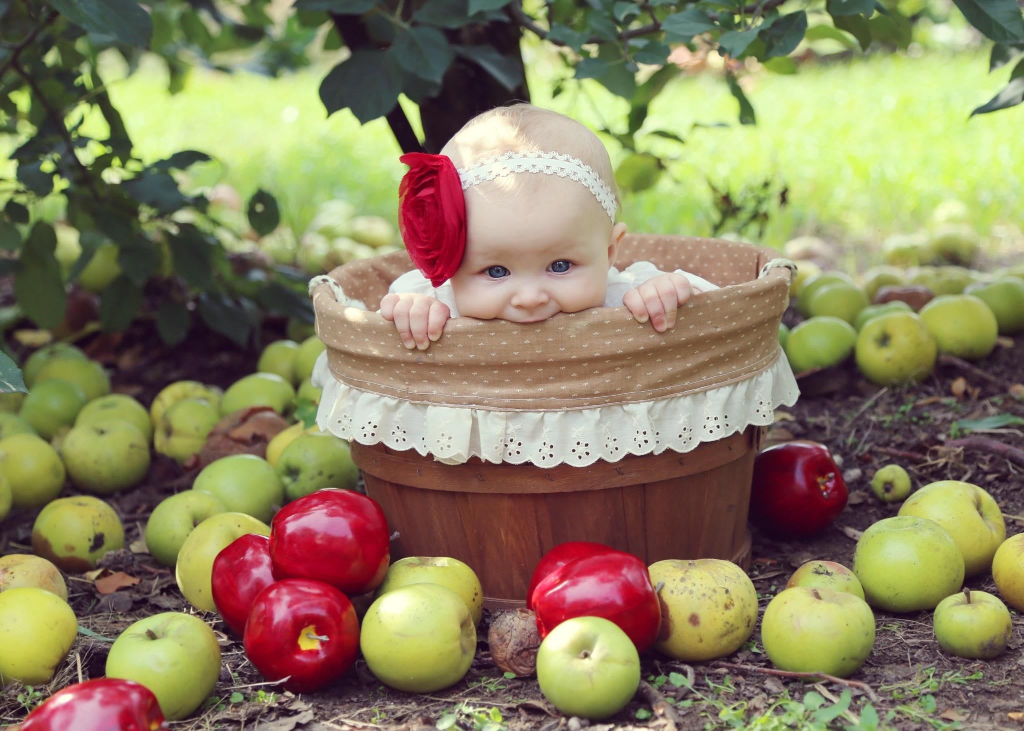 "The Apples Don't Fall Far from the Tree" Families