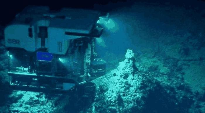 Dive to the Mariana Trench at -11034 meters, what creatures did scientists find? | FYI