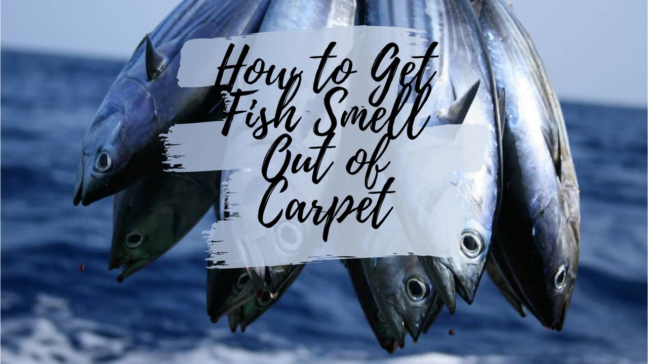 how-to-get-fish-smell-out-of-carpet-lifehack