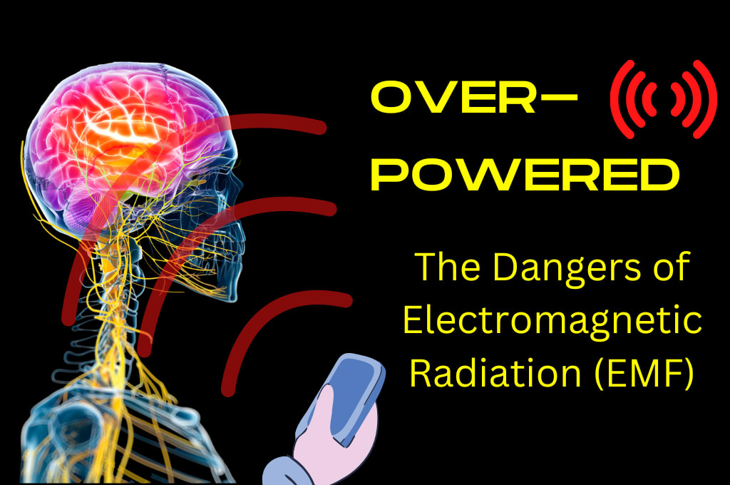 What Are The Dangers Of EMF A Comprehensive Guide Longevity what-are-the-dangers-of-emf-a-comprehensive-guide-longevity