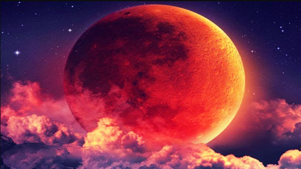 Blood Moon's Curse Chapter 1 | Horror