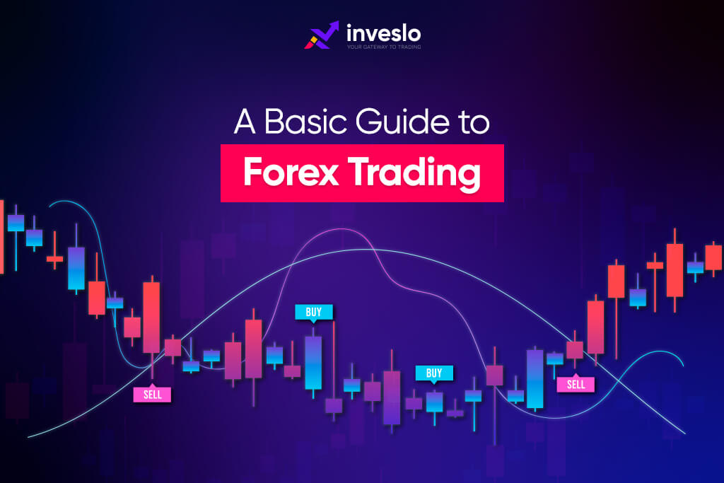 A Basic Guide to Forex Trading Trader