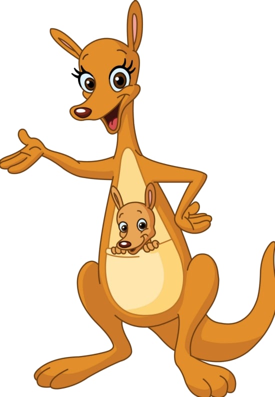 What’s Inside A Kangaroo’s Pouch? Petlife