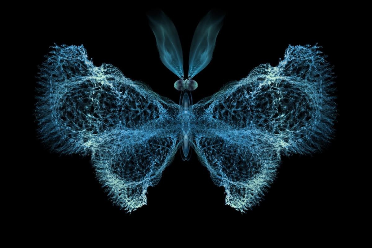 Science Behind Butterfly Effect