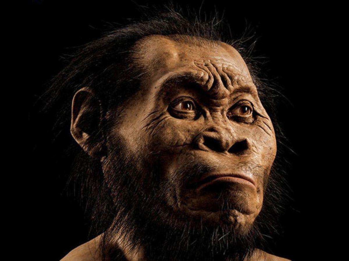 who created the first human in the world