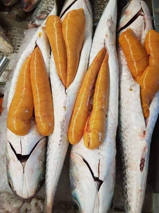 The benefits and potential of fish eggs Feast