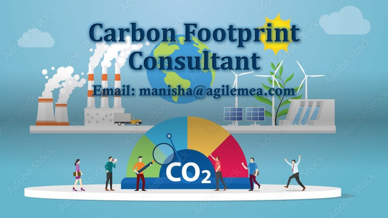 The benefits of reducing the corporate Carbon Footprint | Journal