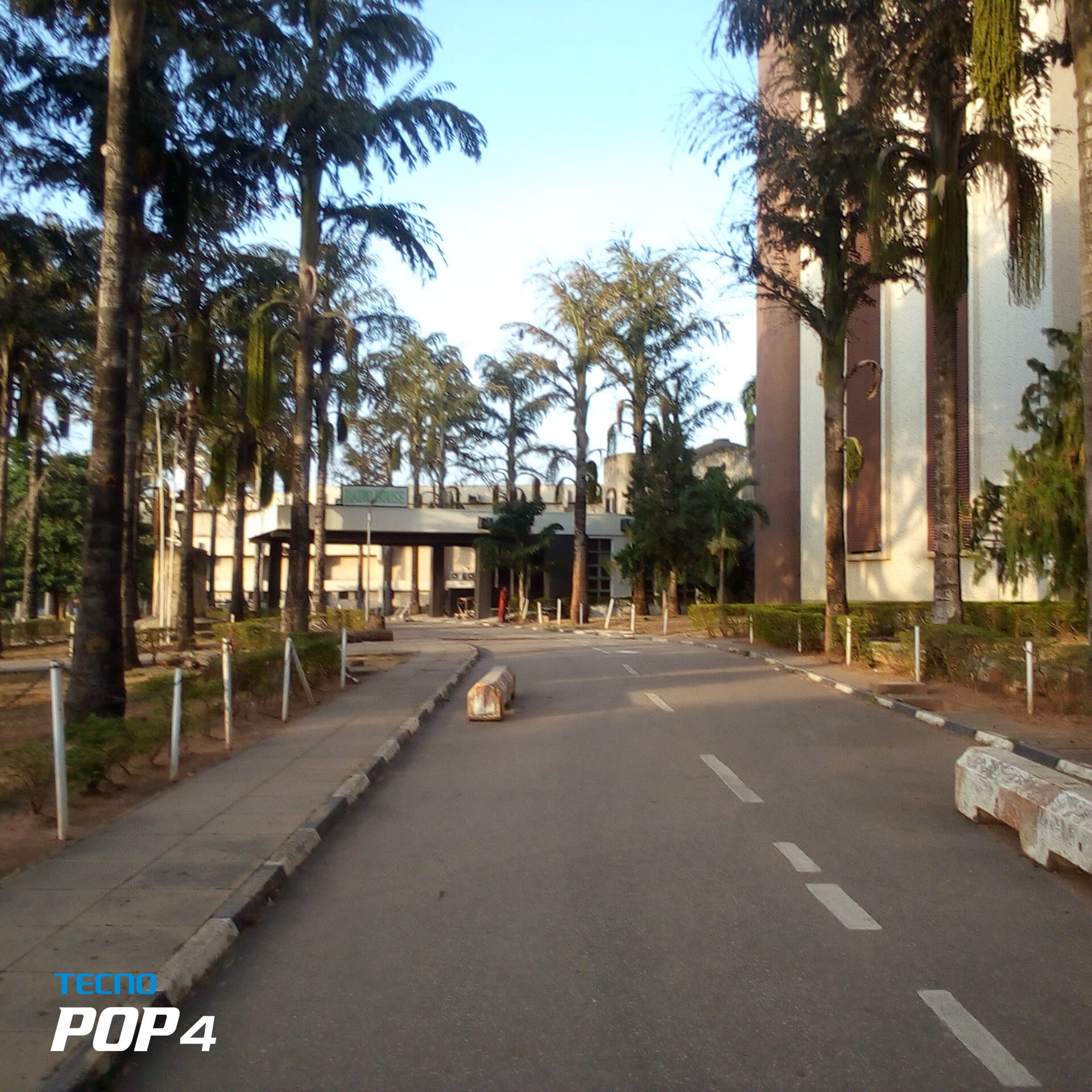 Nigerian Presidential Villa Earth