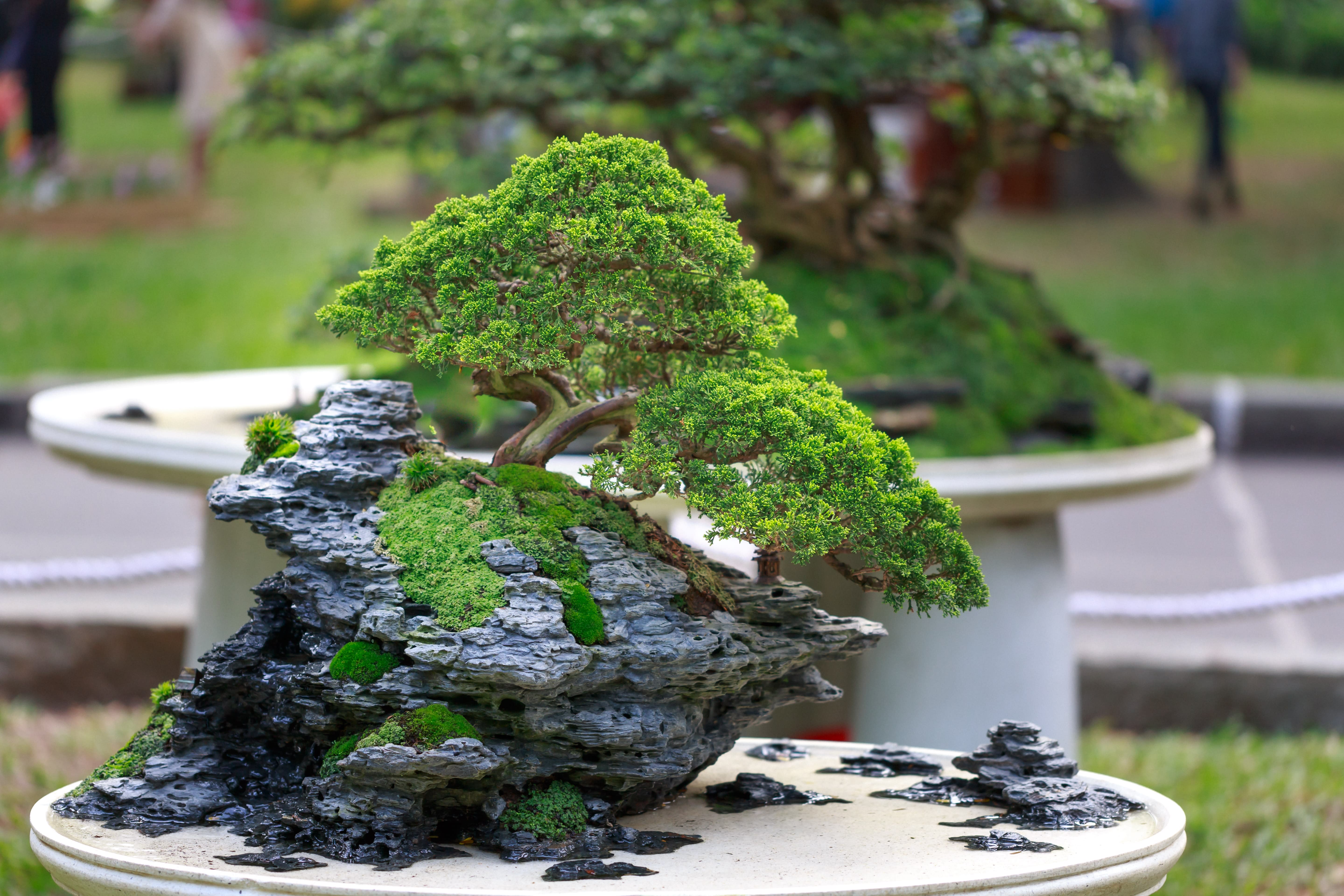 lego creator bonsai tree Light Kit For Lego Bonsai Tree 10281(Pink Blossoms) – Lightailing main image 1