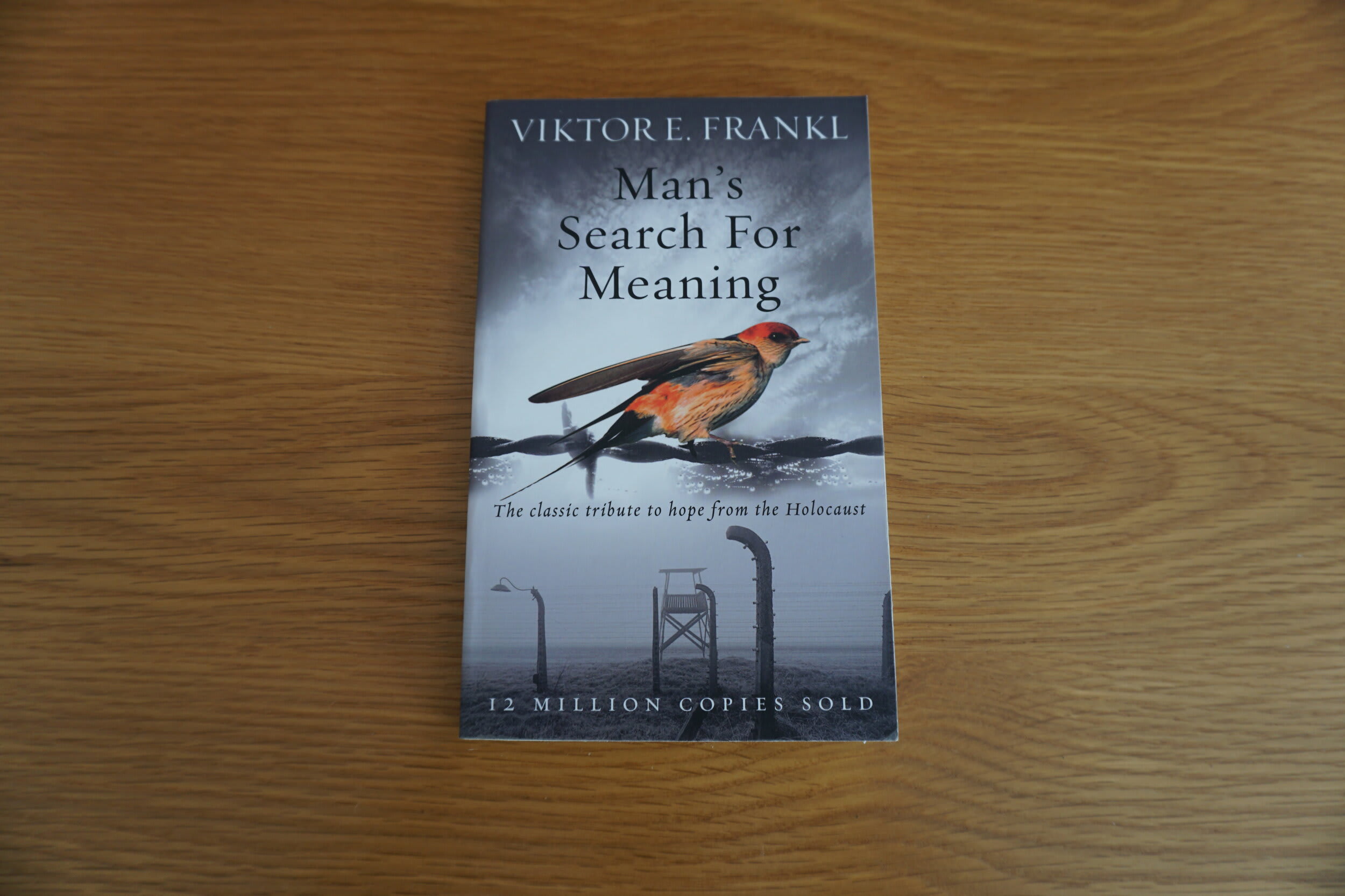 Man's Search for Meaning | Journal