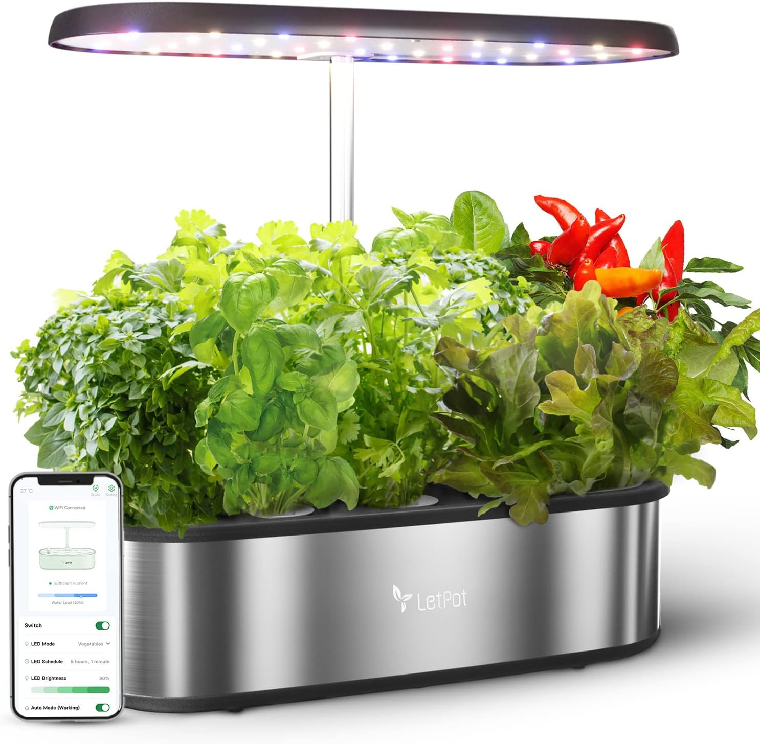 Hydroponics Growing System: Revolutionizing Home Gardening | Lifehack
