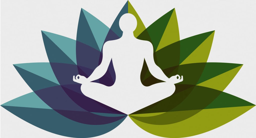 Yoga: A Holistic Approach to Health and Well-Being, by Sahin Erdemir