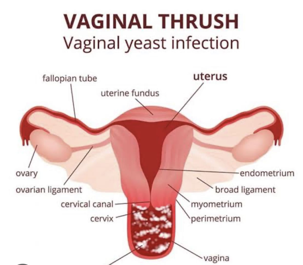 Family Taboo toliq metrajli porno filmlarini onlayn tomosha qiling Woodmanning kasting yangiliklari erotikasi