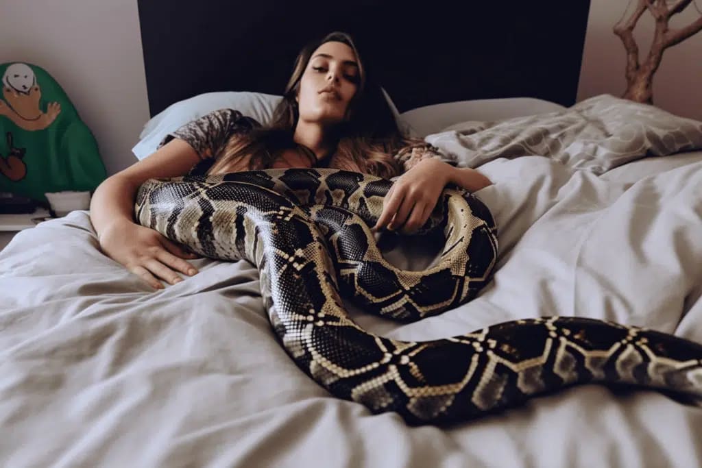 Woman Thought She Could Sleep Safely With Her Pet Python Every Night, |  Petlife