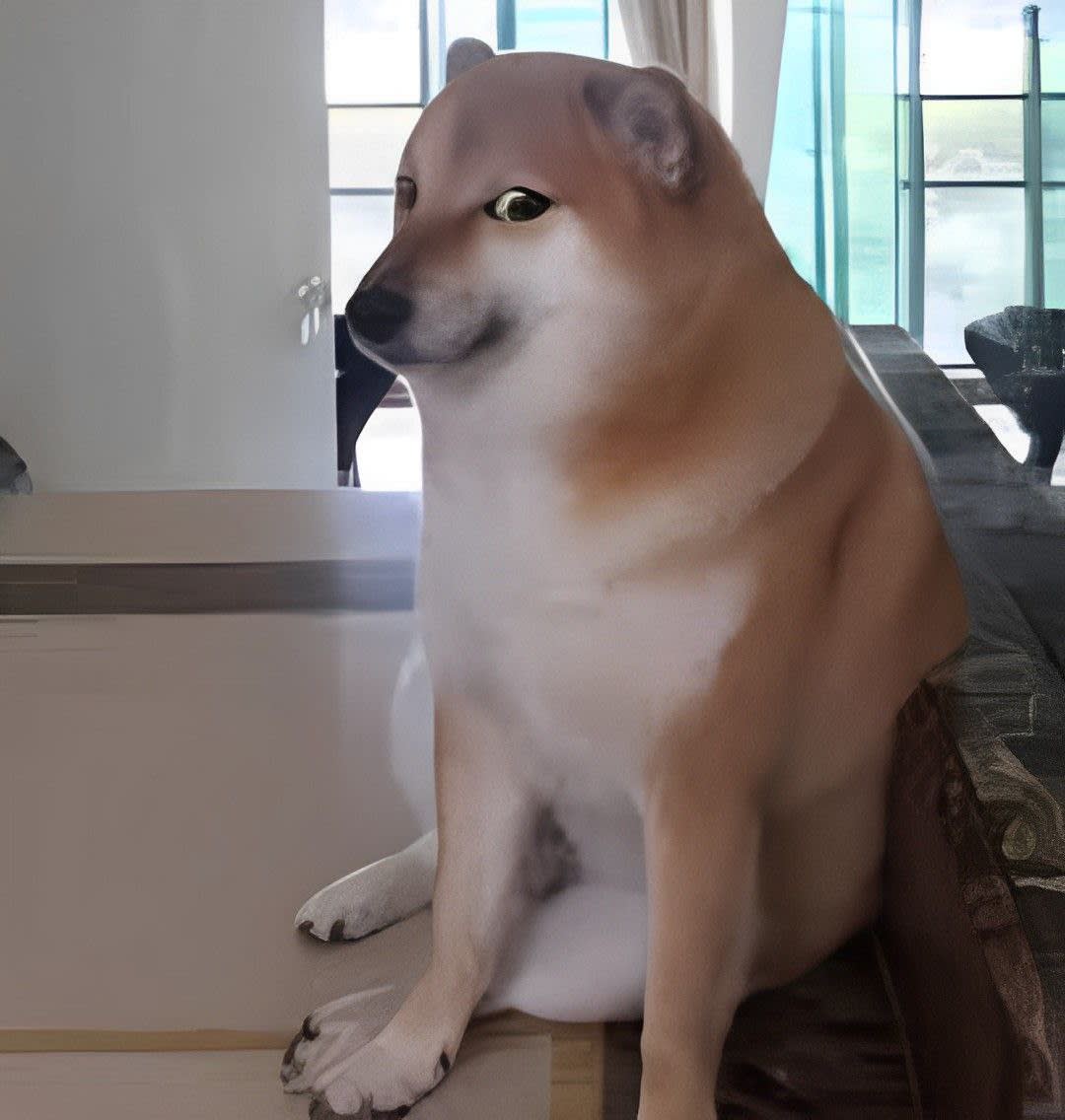 The Meme Dog 