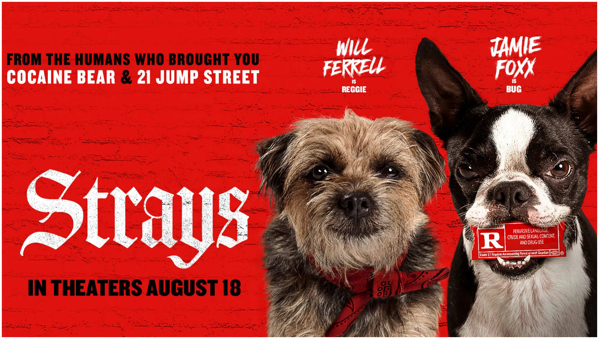 movie review strays