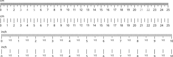 A Ruler's Guide to Their Types and Usability | Lifehack