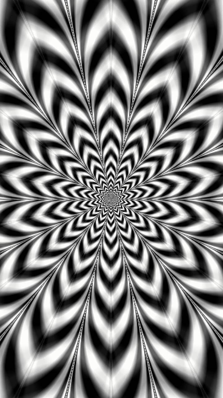 Optical Illusions