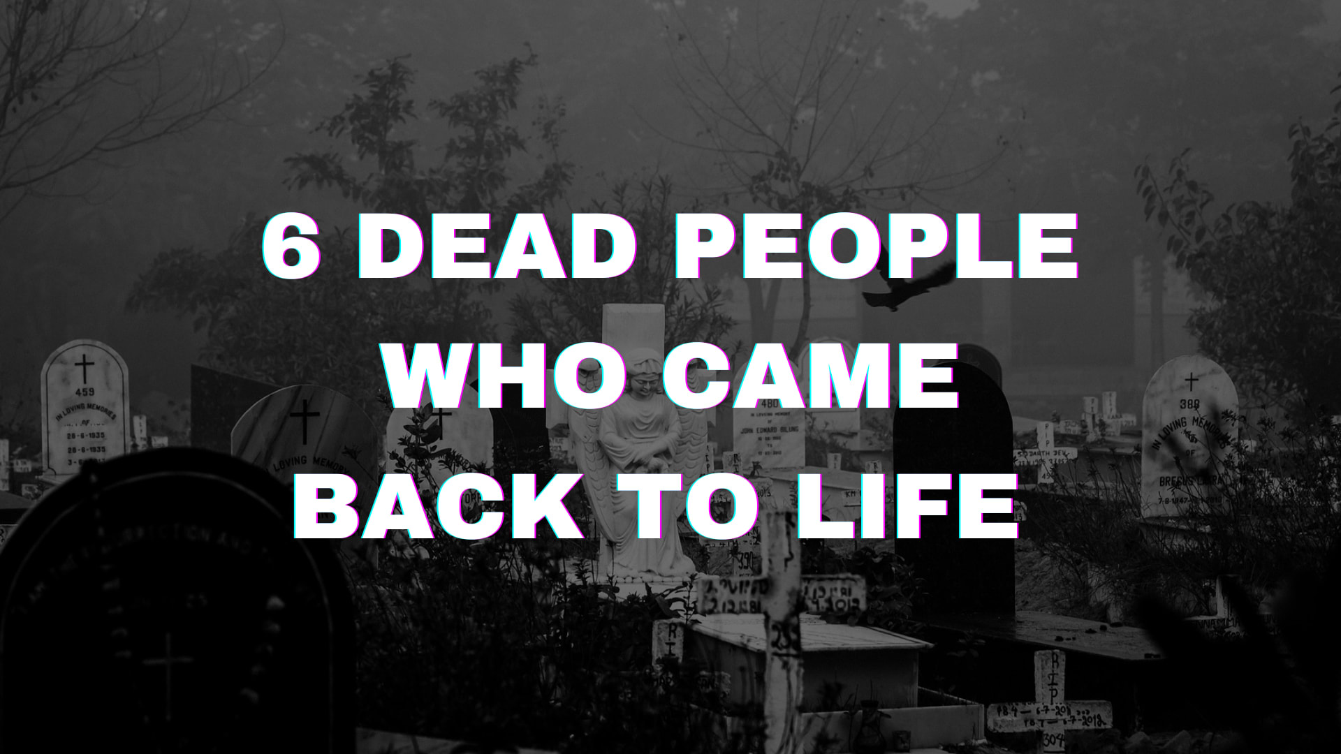 6 People Dies and Comes Back to life, What they Saw? Humans