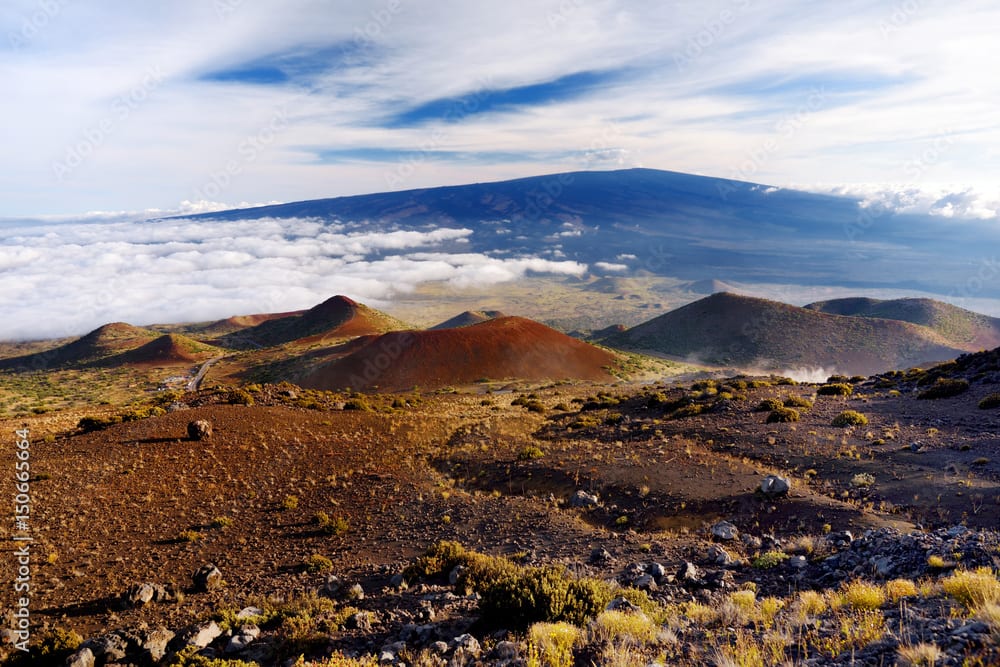 Mauna Loa The Mighty Shield Volcano of Hawaii Earth