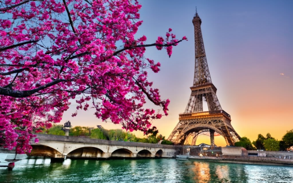 The History of the Eiffel Tower A Pinnacle of Parisian Elegance and