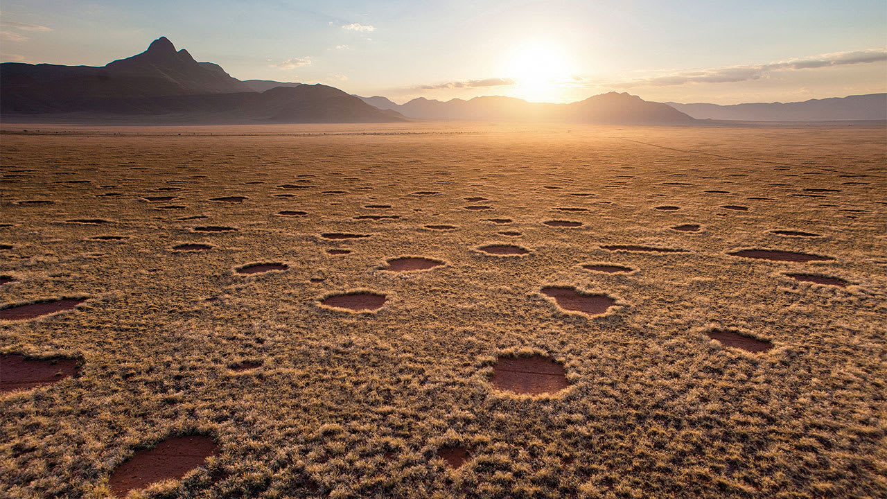 Mystery of 'fairy circles' in Namibia