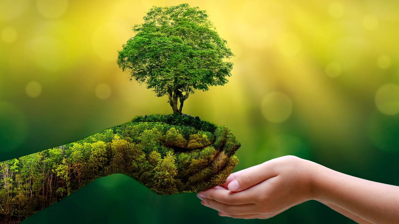 Green life for a better future | Earth