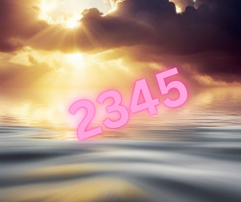 ぼー⭐︎ 2345 | Writers