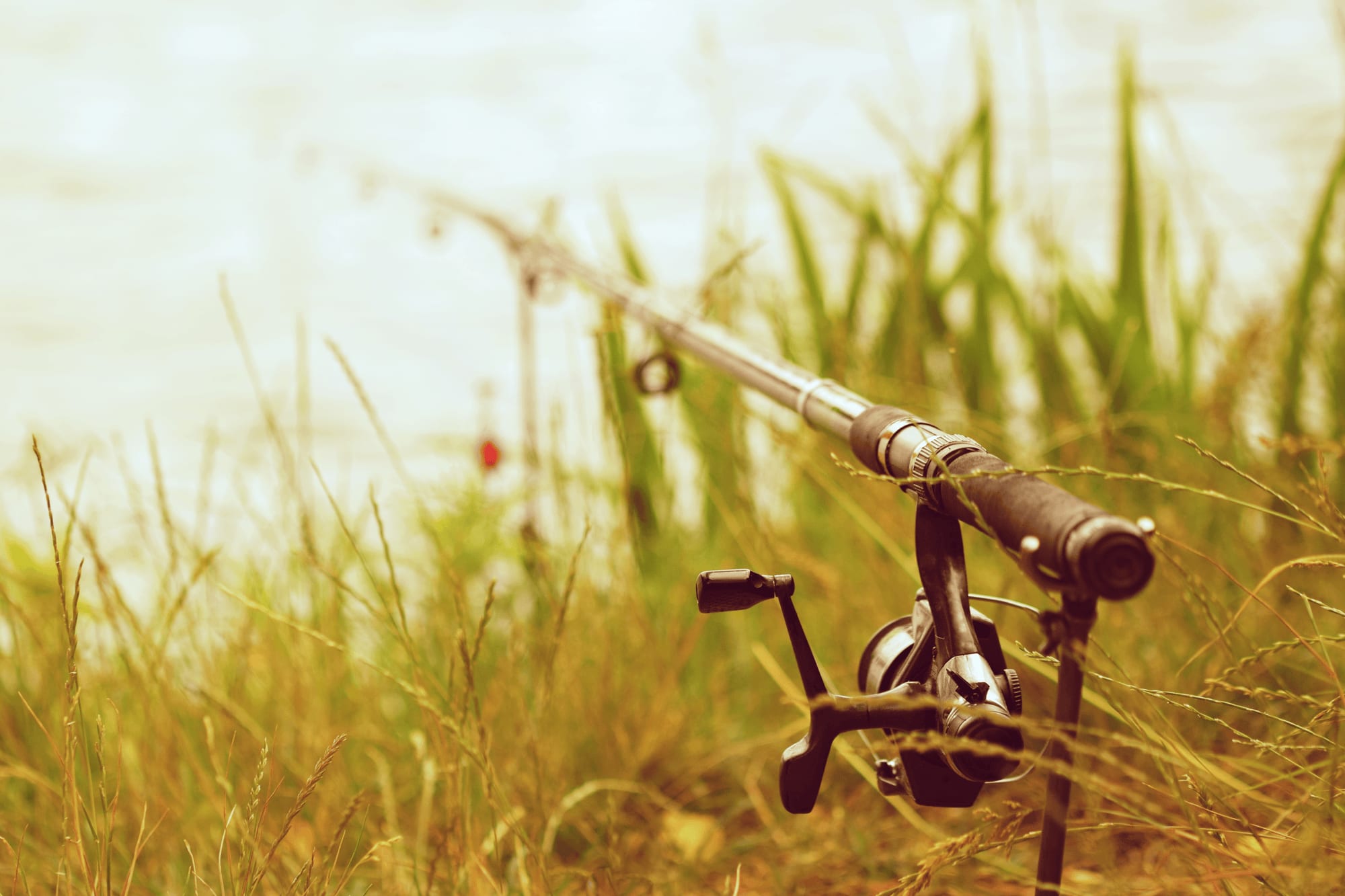 daiwa tatula sv vs shimano curado Shimano Curado MGL 70 vs Daiwa Tatula SV 103.... CAST BATTLE , Credit_Video  | SnakeHead Casting Pro