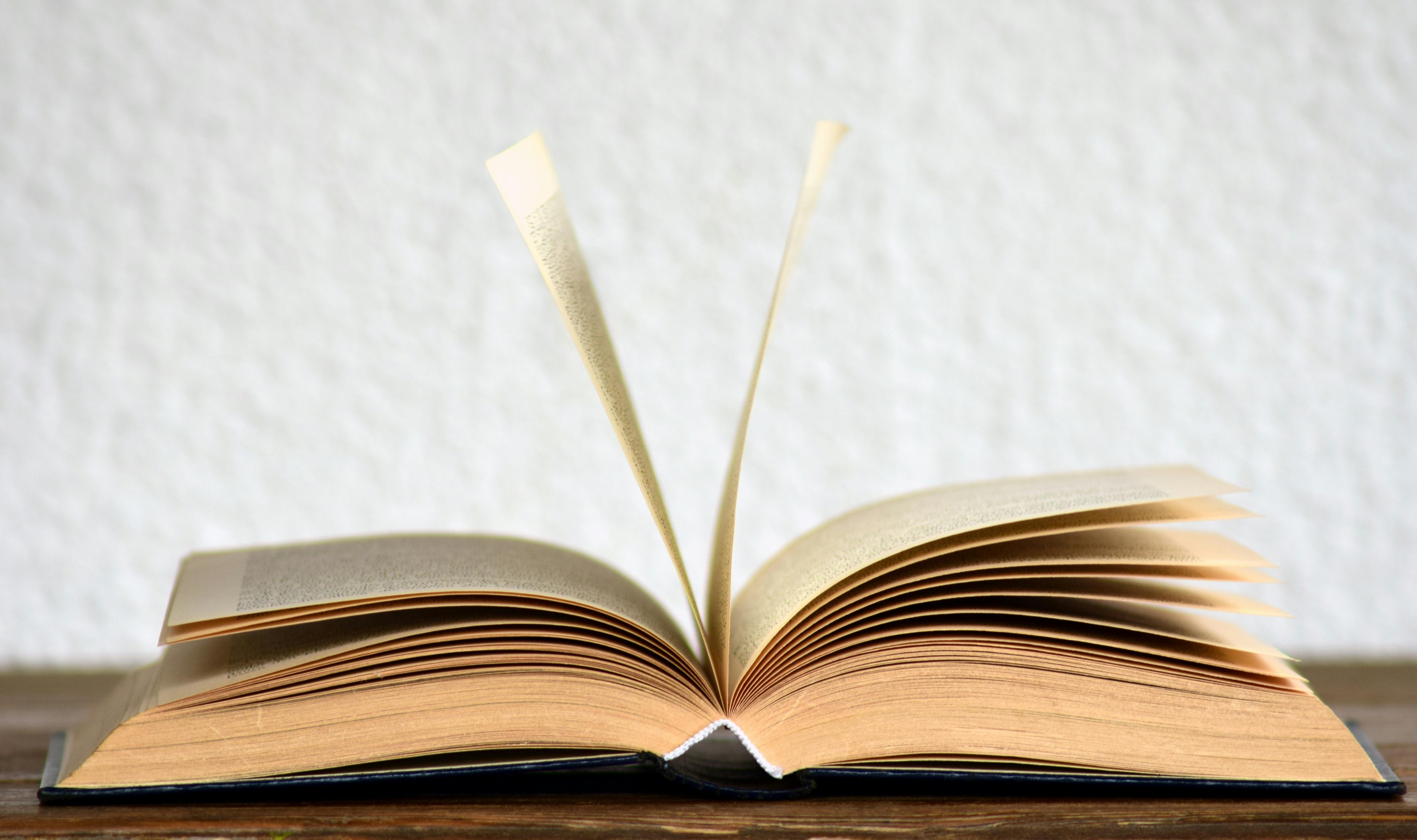 What is a book? | Critique