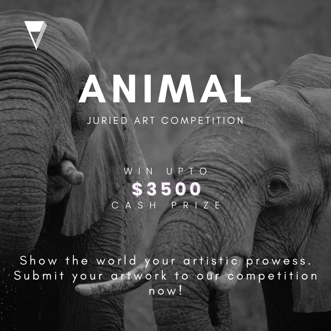 Animal Competition Drawing